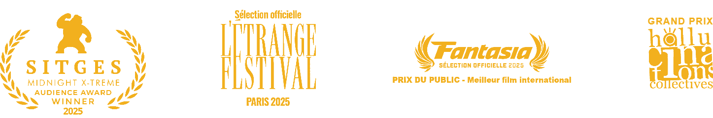 Sélections en festivals